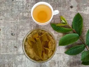 Dried Guava leaves Tea